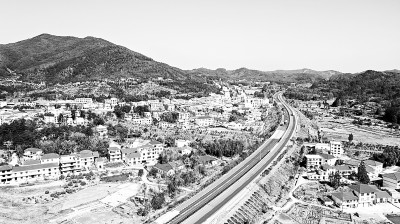 書寫“新農人”,文藝準備好了嗎