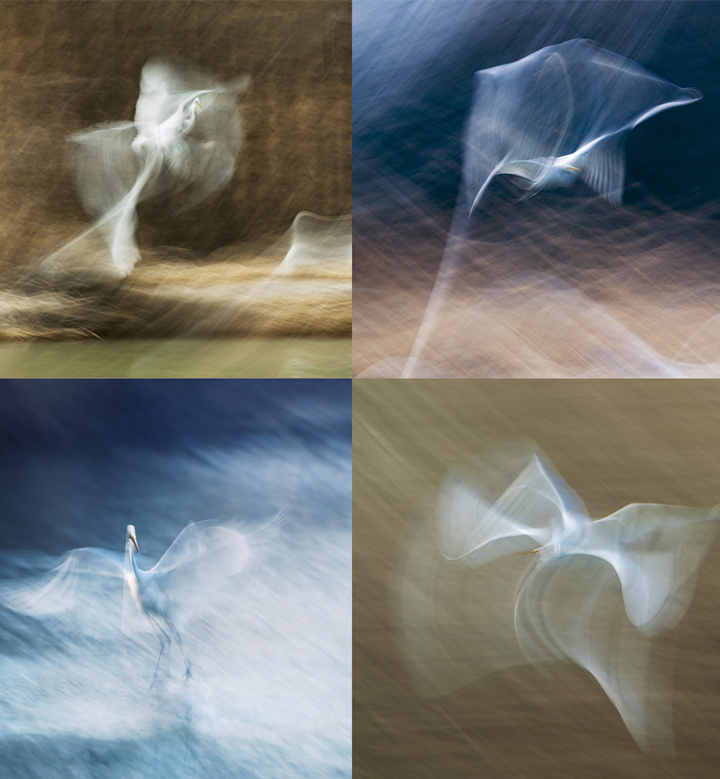 張文革 攝影十佳_副本.jpg