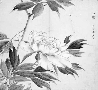 作為“經”的《詩經》——從《毛詩傳箋》談漢代《詩經》詮釋